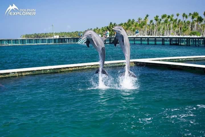 Caribbean And Sun プンタ・カナ エクステリア 写真